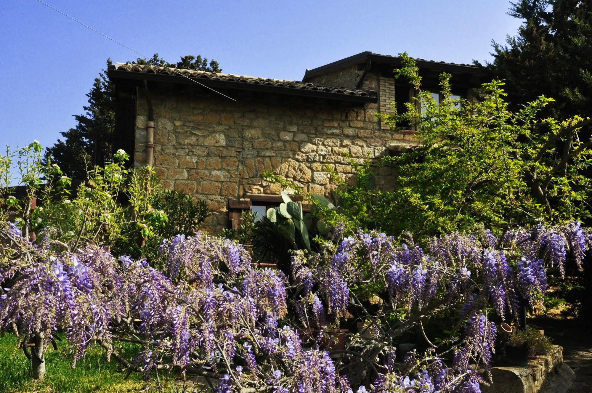 La Casa Sulla Collina D'Oro Bed and Breakfast Πιάτσα Αρμερίνα Εξωτερικό φωτογραφία